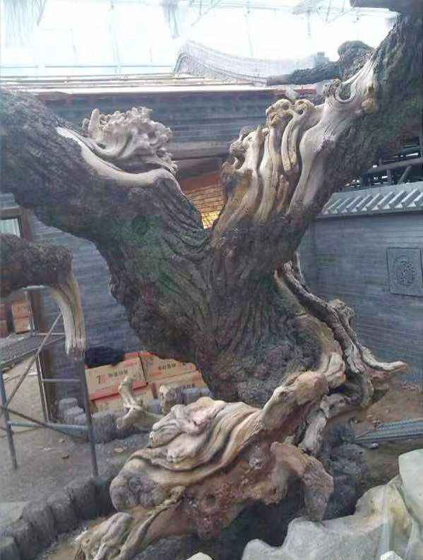 水泥假树 水泥假树