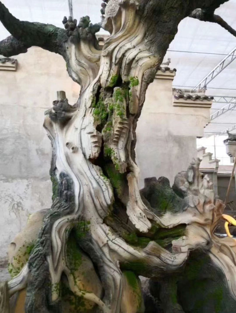 国产麻豆视频免费在线树安装